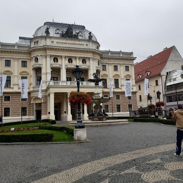 Mit dem Twin City Liner nach Bratislava: Die Jugend Task Force der AEDE Österreich in der Slowakei